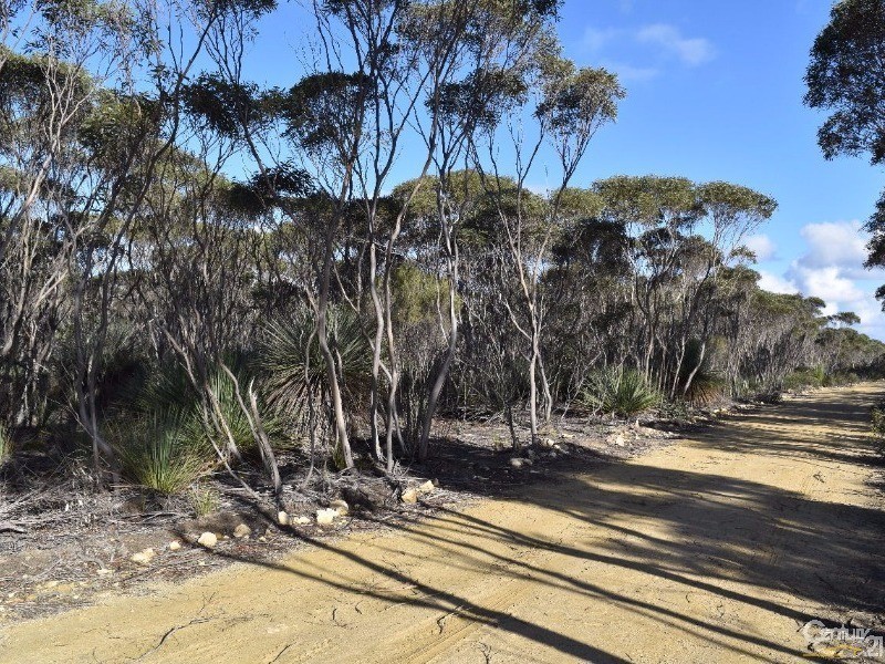 Lot 168 Wild Dog Road, D’estrees Bay SA 5223