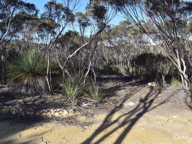 Lot 168 Wild Dog Road, D’estrees Bay SA 5223