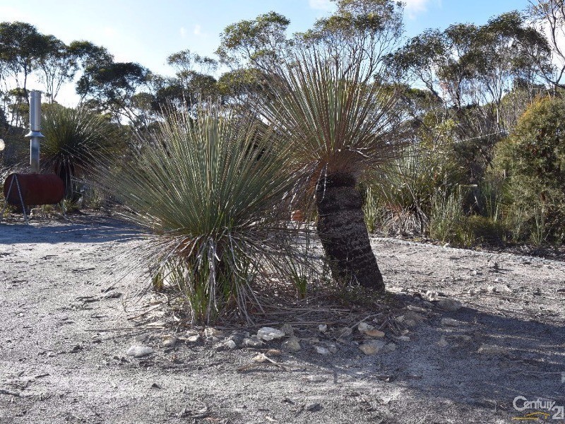 Lot 168 Wild Dog Road, D’estrees Bay SA 5223