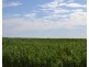 Sec 96 North Coast Road, Wisanger SA 5223