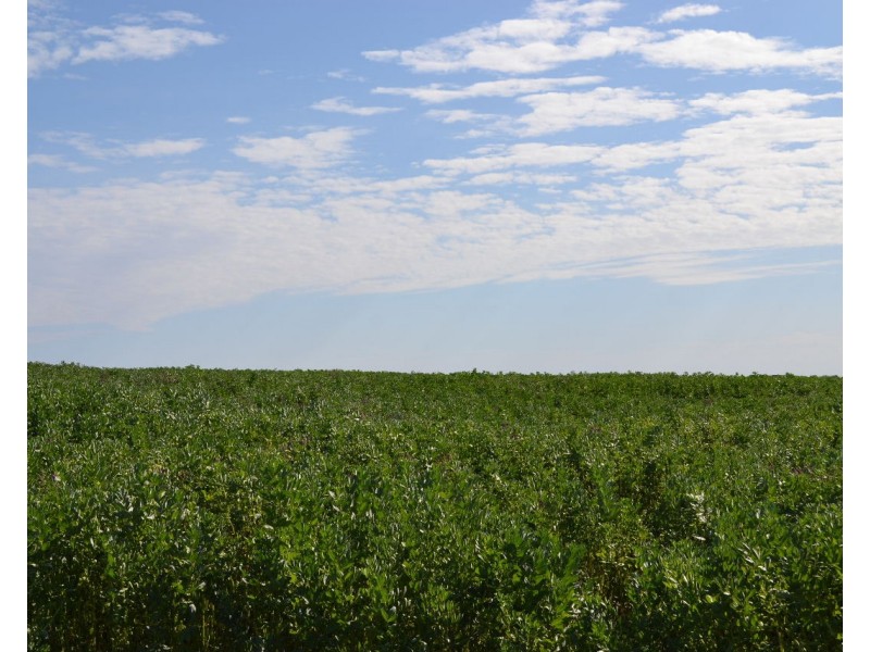Sec 96 North Coast Road, Wisanger SA 5223