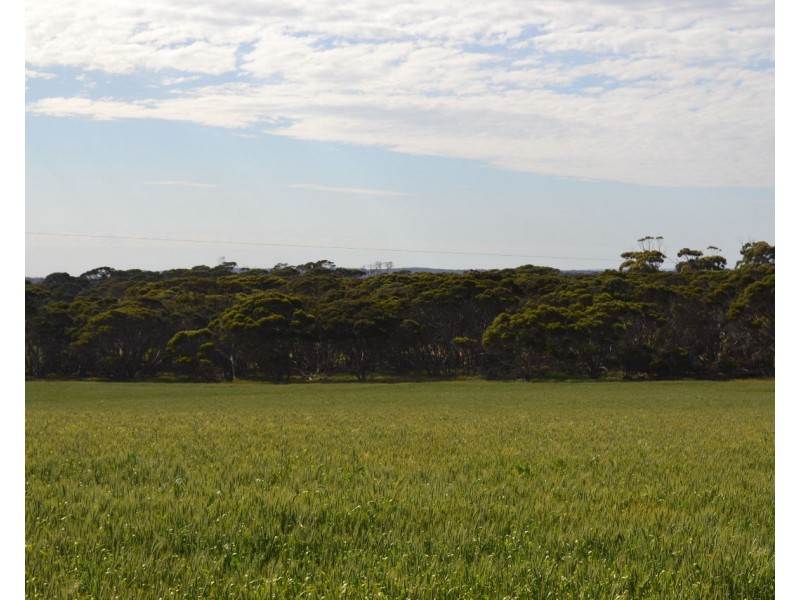 Sec 96 North Coast Road, Wisanger SA 5223