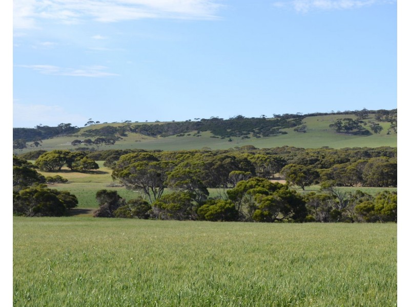 Sec 96 North Coast Road, Wisanger SA 5223