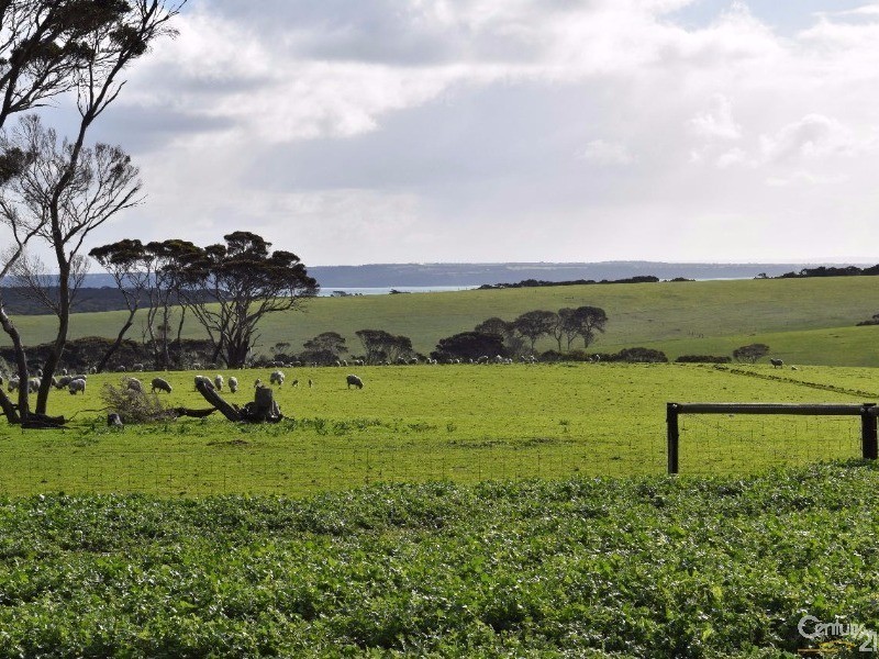 264 DOUG ROAD, Dudley East SA 5222