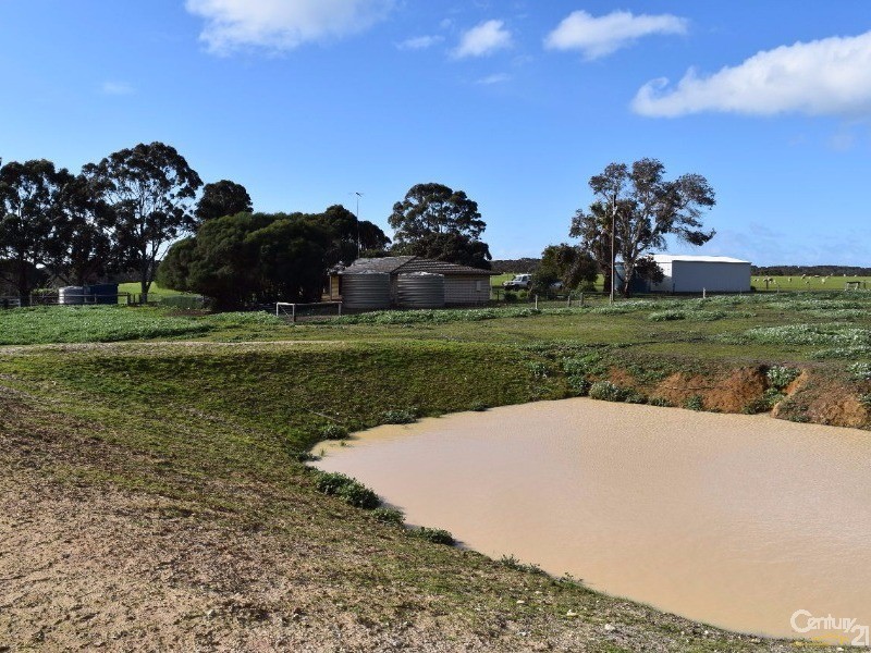 264 DOUG ROAD, Dudley East SA 5222