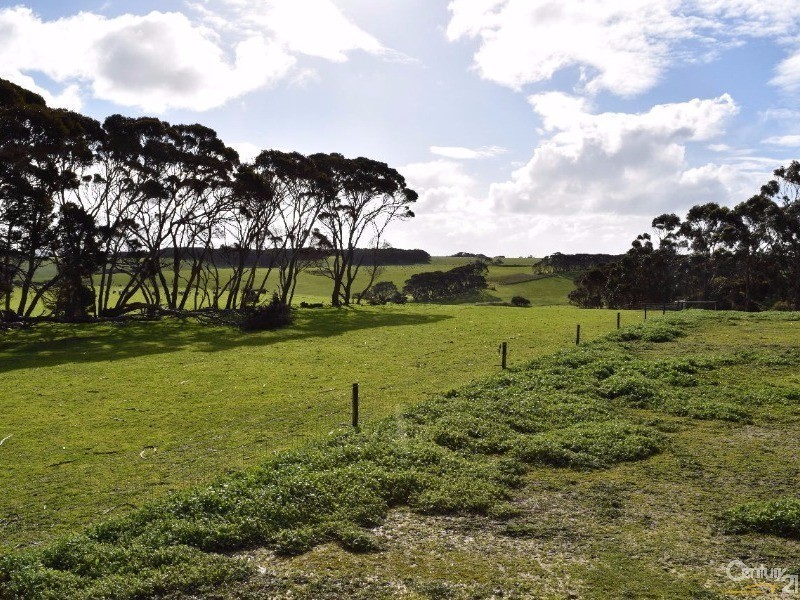 264 DOUG ROAD, Dudley East SA 5222