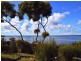 45 Falie Court, American River SA 5221