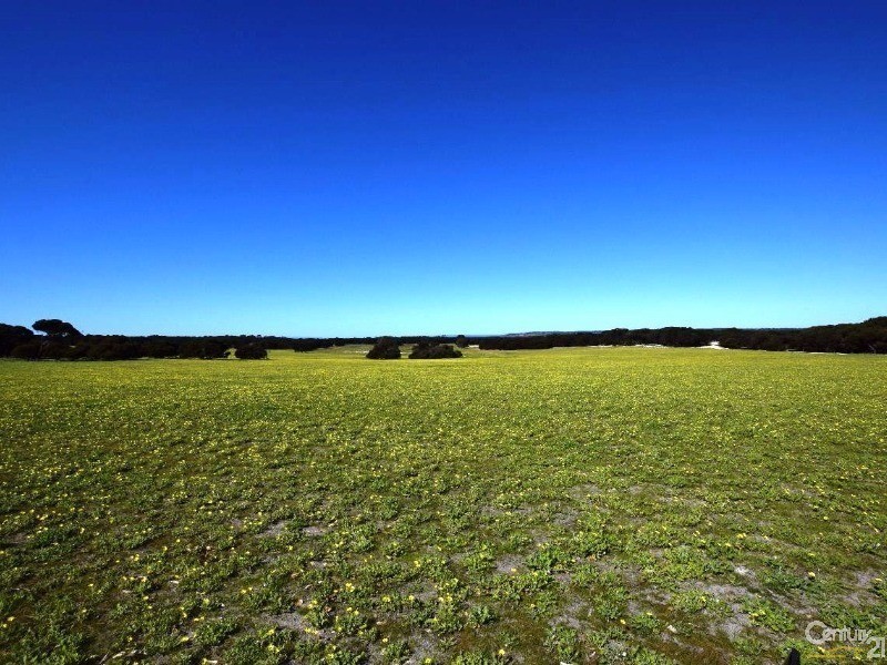 142 Rhynne Road, Bay Of Shoals SA 5223