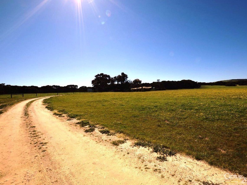 142 Rhynne Road, Bay Of Shoals SA 5223