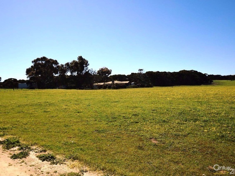 142 Rhynne Road, Bay Of Shoals SA 5223