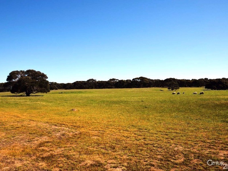 142 Rhynne Road, Bay Of Shoals SA 5223