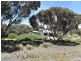 125 Shag Rock Track, Haines SA 5223