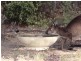 125 Shag Rock Track, Haines SA 5223