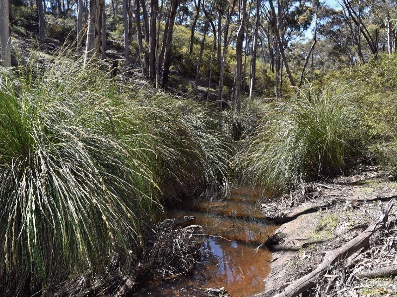 Lot 701 Western River Road, Gosse SA 5223