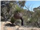 Lot 701 Western River Road, Gosse SA 5223