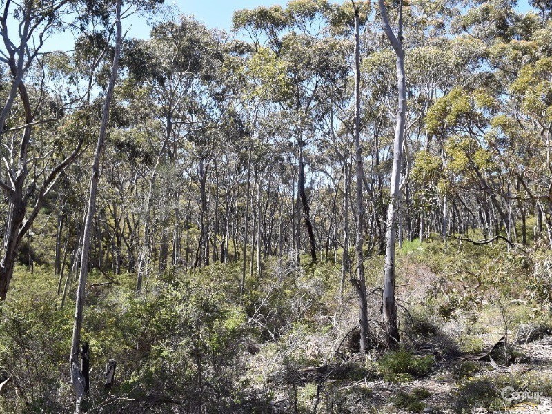 Lot 701 Western River Road, Gosse SA 5223