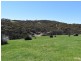 Lot 701 Western River Road, Gosse SA 5223