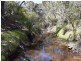 Lot 701 Western River Road, Gosse SA 5223