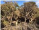 Lot 93 Crabb Road, Vivonne Bay SA 5223