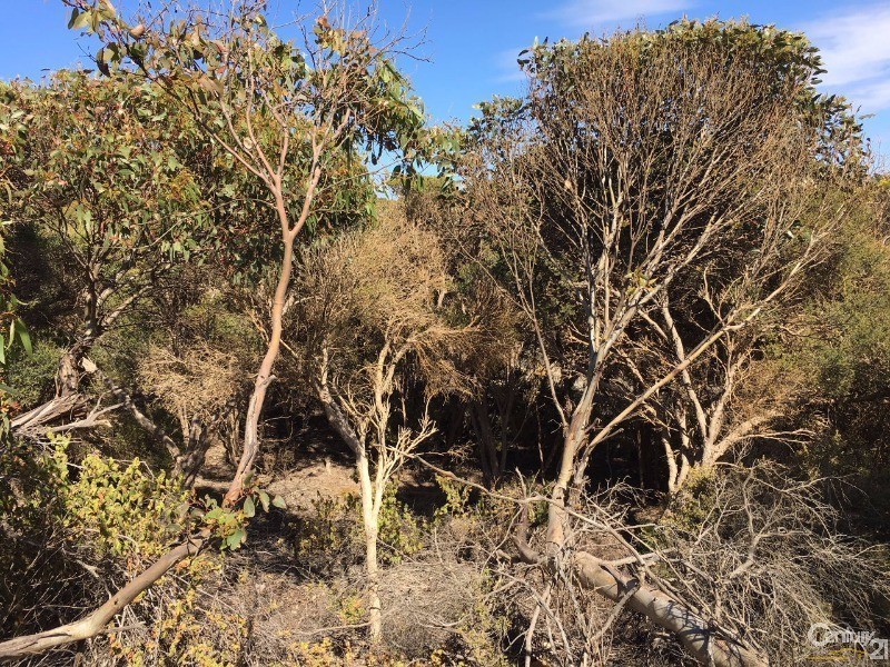 Lot 93 Crabb Road, Vivonne Bay SA 5223