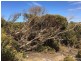 Lot 93 Crabb Road, Vivonne Bay SA 5223