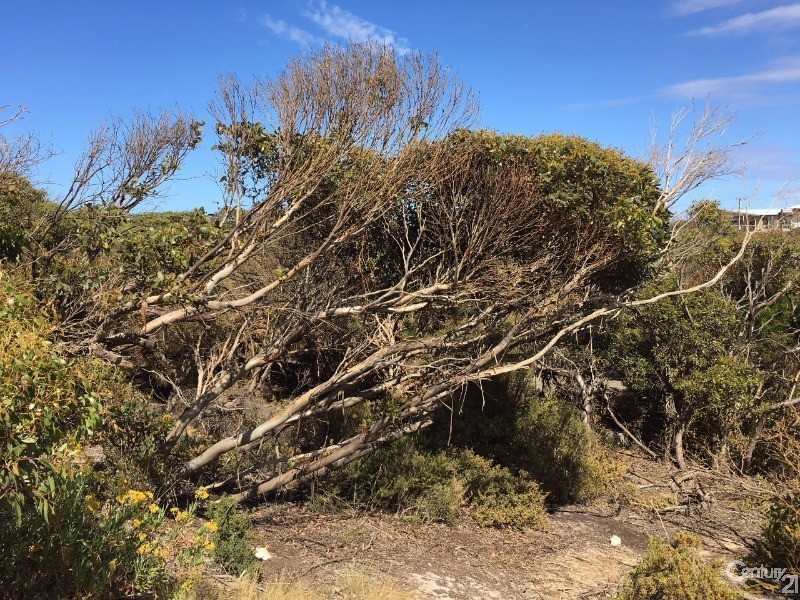 Lot 93 Crabb Road, Vivonne Bay SA 5223