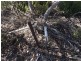 Lot 93 Crabb Road, Vivonne Bay SA 5223