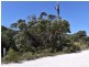 Lot 206 Borda Road, Island Beach SA 5222