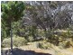 Lot 206 Borda Road, Island Beach SA 5222