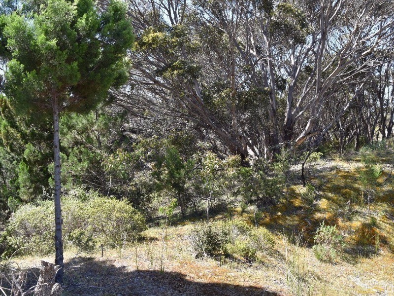 Lot 206 Borda Road, Island Beach SA 5222