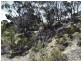 Lot 206 Borda Road, Island Beach SA 5222