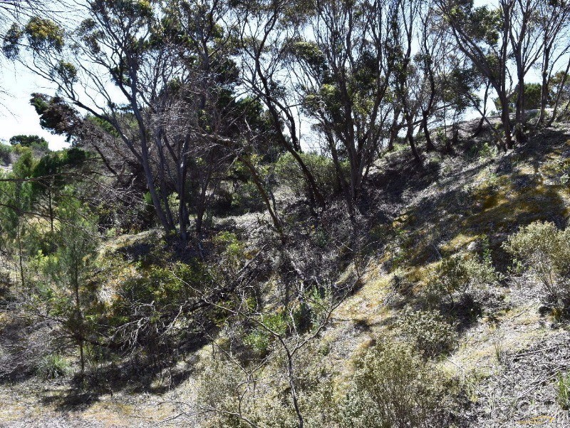 Lot 206 Borda Road, Island Beach SA 5222