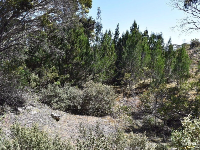 Lot 206 Borda Road, Island Beach SA 5222