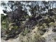 Lot 206 Borda Road, Island Beach SA 5222