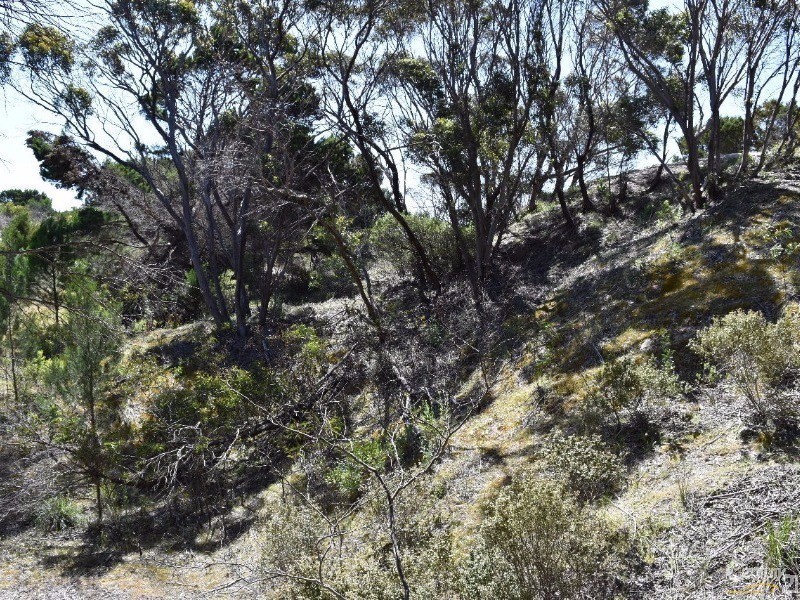 Lot 206 Borda Road, Island Beach SA 5222