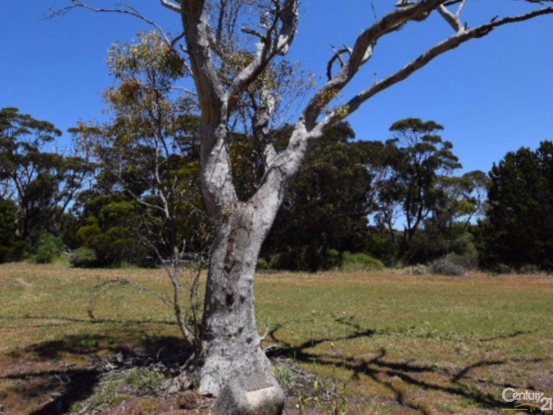 113 Allen Lashmar Road, Antechamber Bay SA 5222