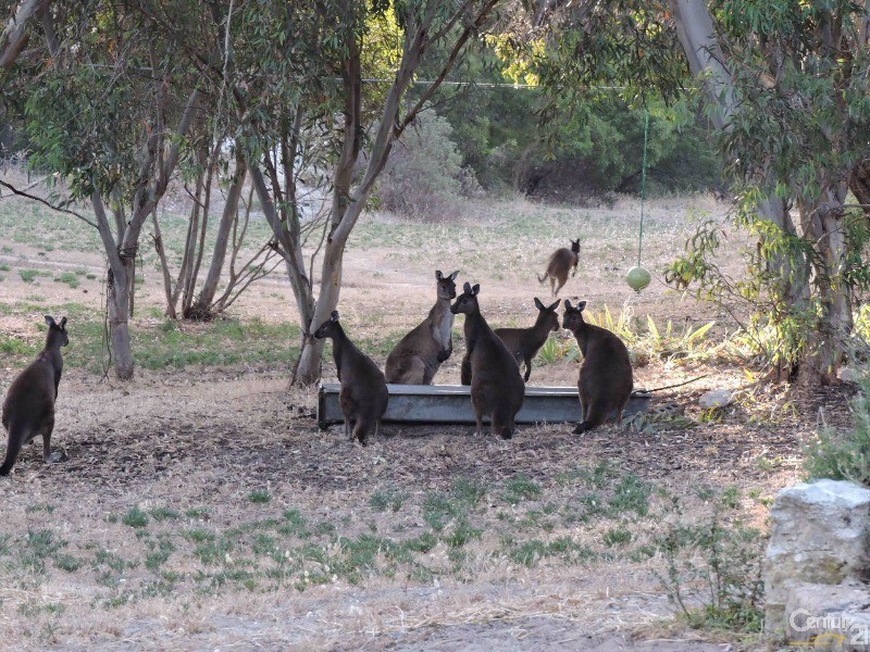 113 Allen Lashmar Road, Antechamber Bay SA 5222