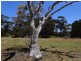 113 Allen Lashmar Road, Antechamber Bay SA 5222