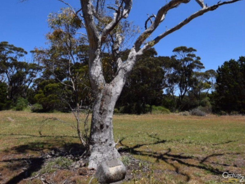 113 Allen Lashmar Road, Antechamber Bay SA 5222