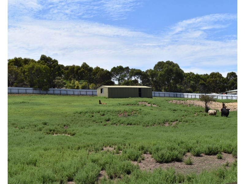 8  Campbell Street, Kingscote SA 5223