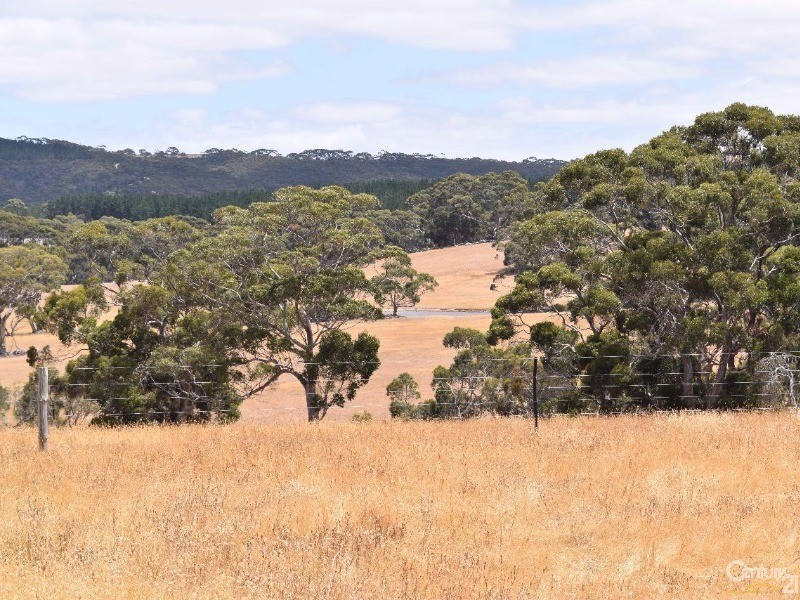 837 Bark Hutt Road, Cassini SA 5223