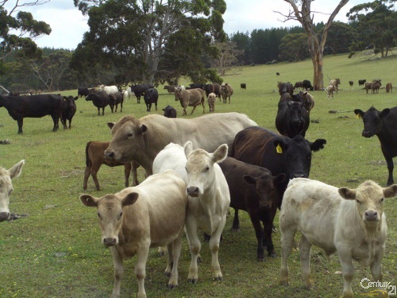 837 Bark Hutt Road, Cassini SA 5223