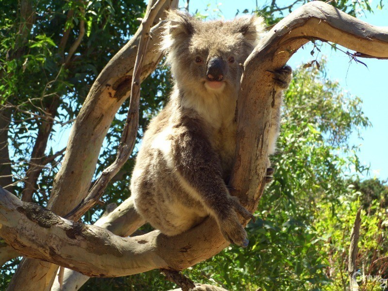 837 Bark Hutt Road, Cassini SA 5223