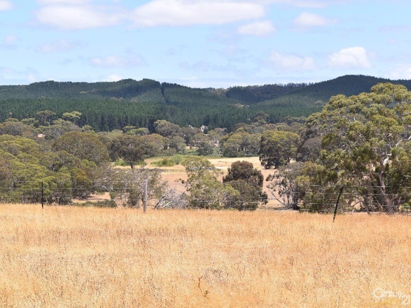 837 Bark Hutt Road, Cassini SA 5223