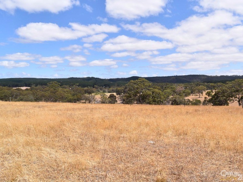 837 Bark Hutt Road, Cassini SA 5223