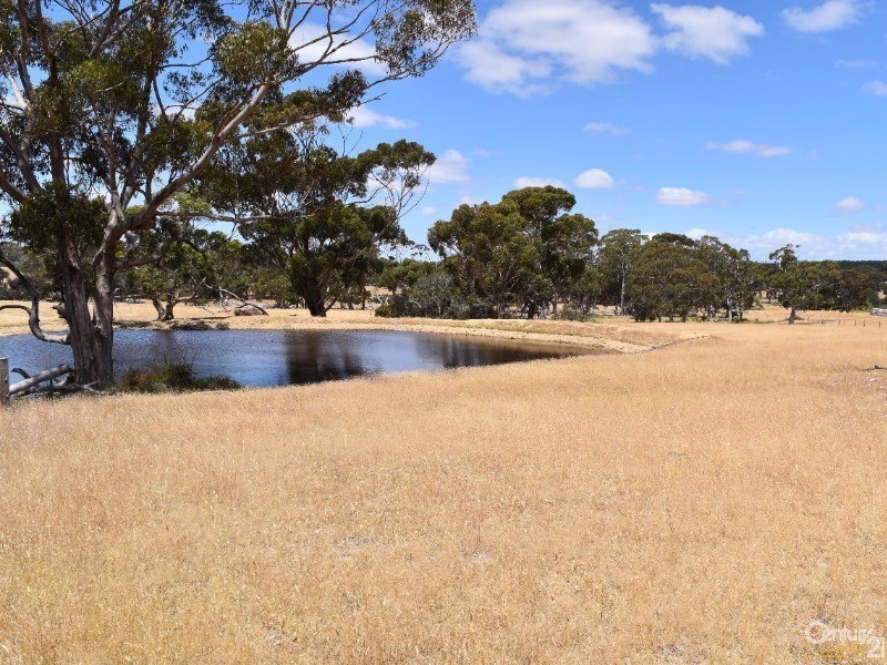 837 Bark Hutt Road, Cassini SA 5223