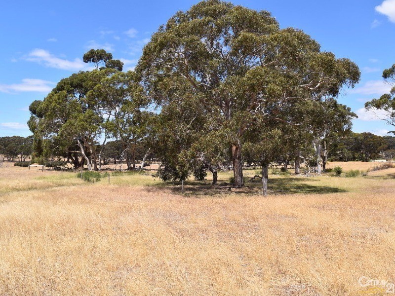 837 Bark Hutt Road, Cassini SA 5223