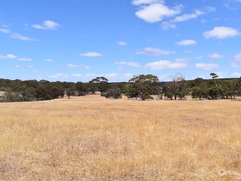 837 Bark Hutt Road, Cassini SA 5223