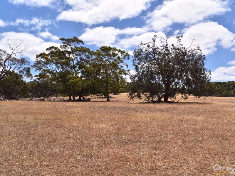 837 Bark Hutt Road, Cassini SA 5223