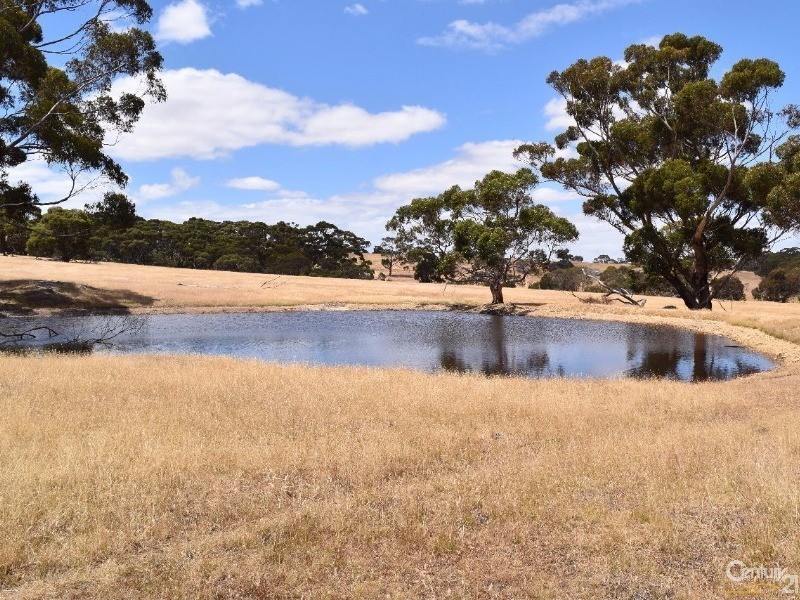 837 Bark Hutt Road, Cassini SA 5223